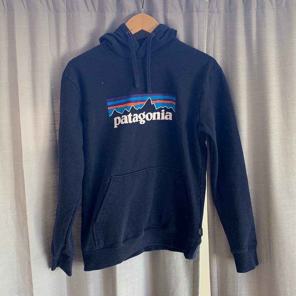 Men's small Patagonia hoodie